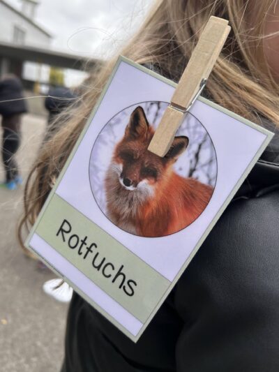 Projekttag Sachunterricht 3a