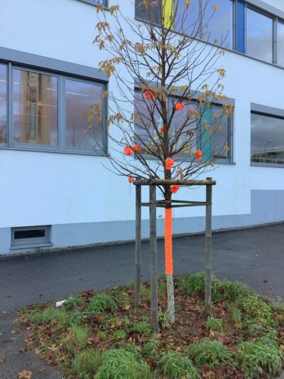 „Zonta sagt Nein zu Gewalt gegen Frauen und Mädchen“